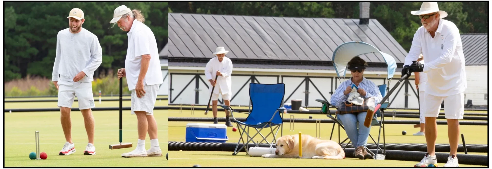 A man and his dog playing lawn bowling.