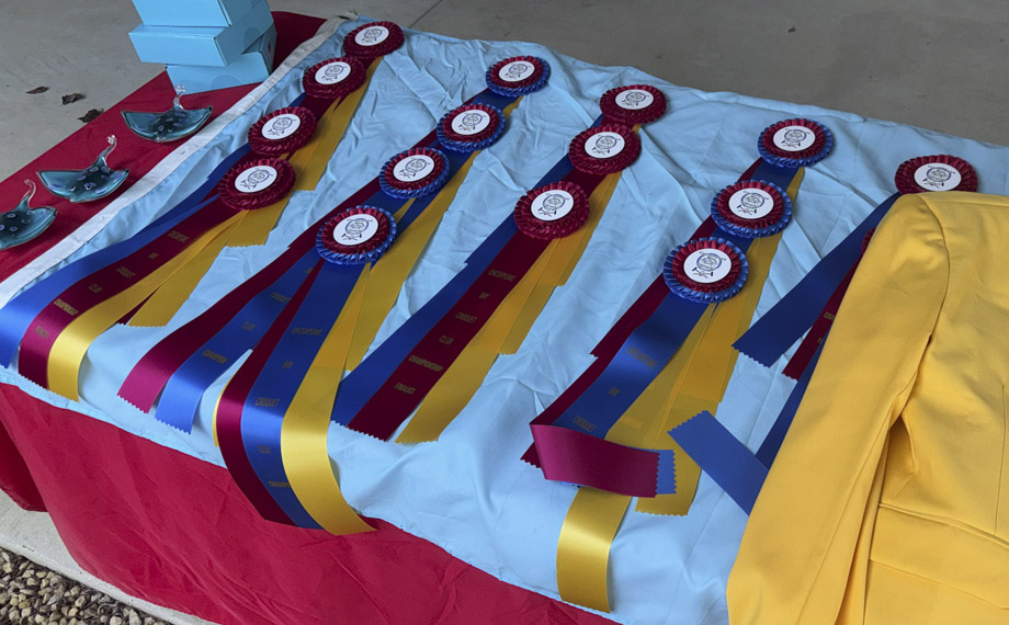 Awards table_web